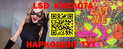 шишки Моздок