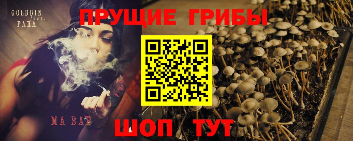 Фрязино  Галлюциногенные грибы ЛСД  Галлюциногенные грибы ЛСД  Вход с VPN 